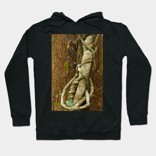 Vine Hoodie by fotoWerner